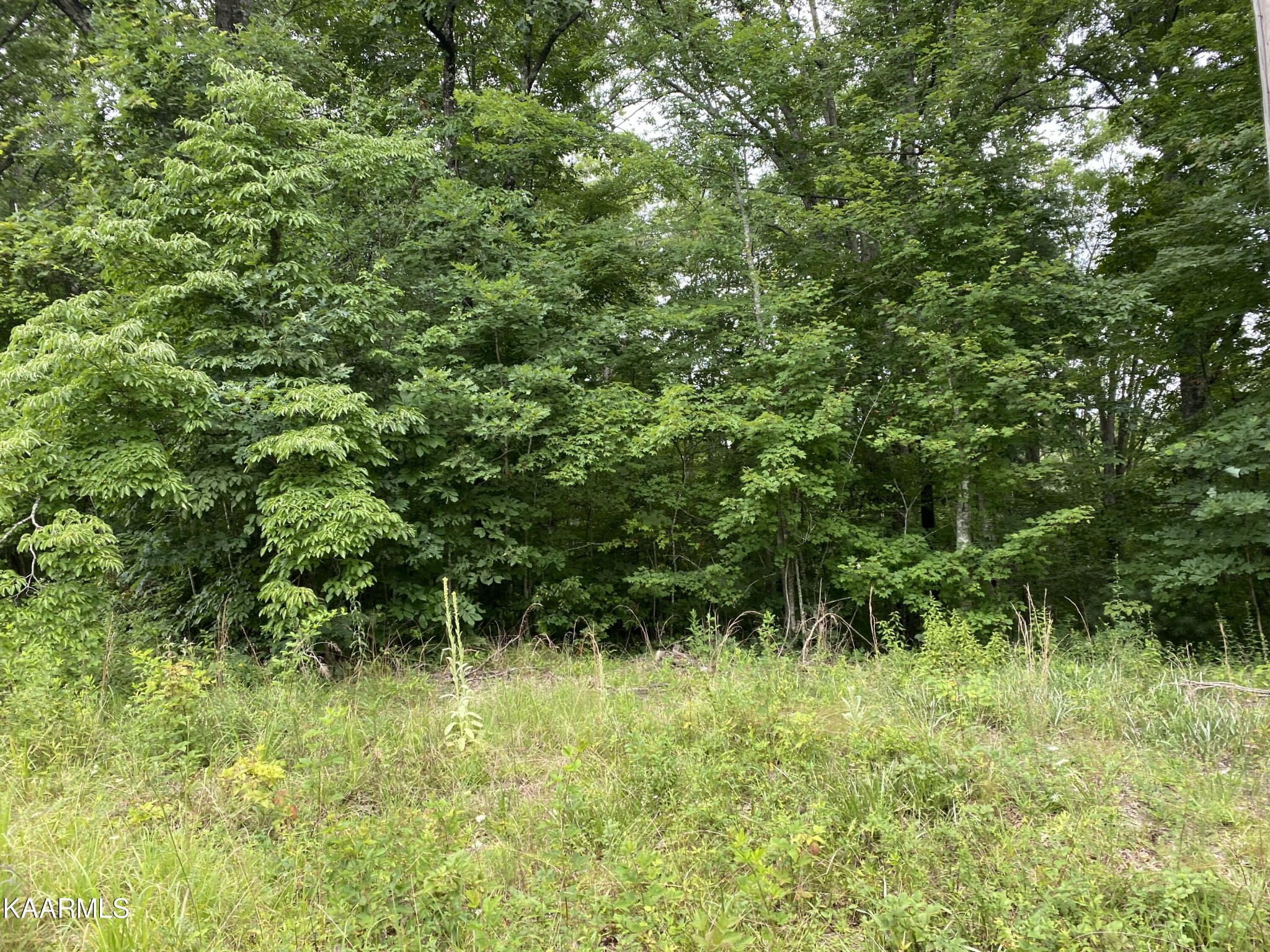 0 Russell Ridge Road Crossville, TN 38555 - Photo 7 of 15 Gallery Image 7