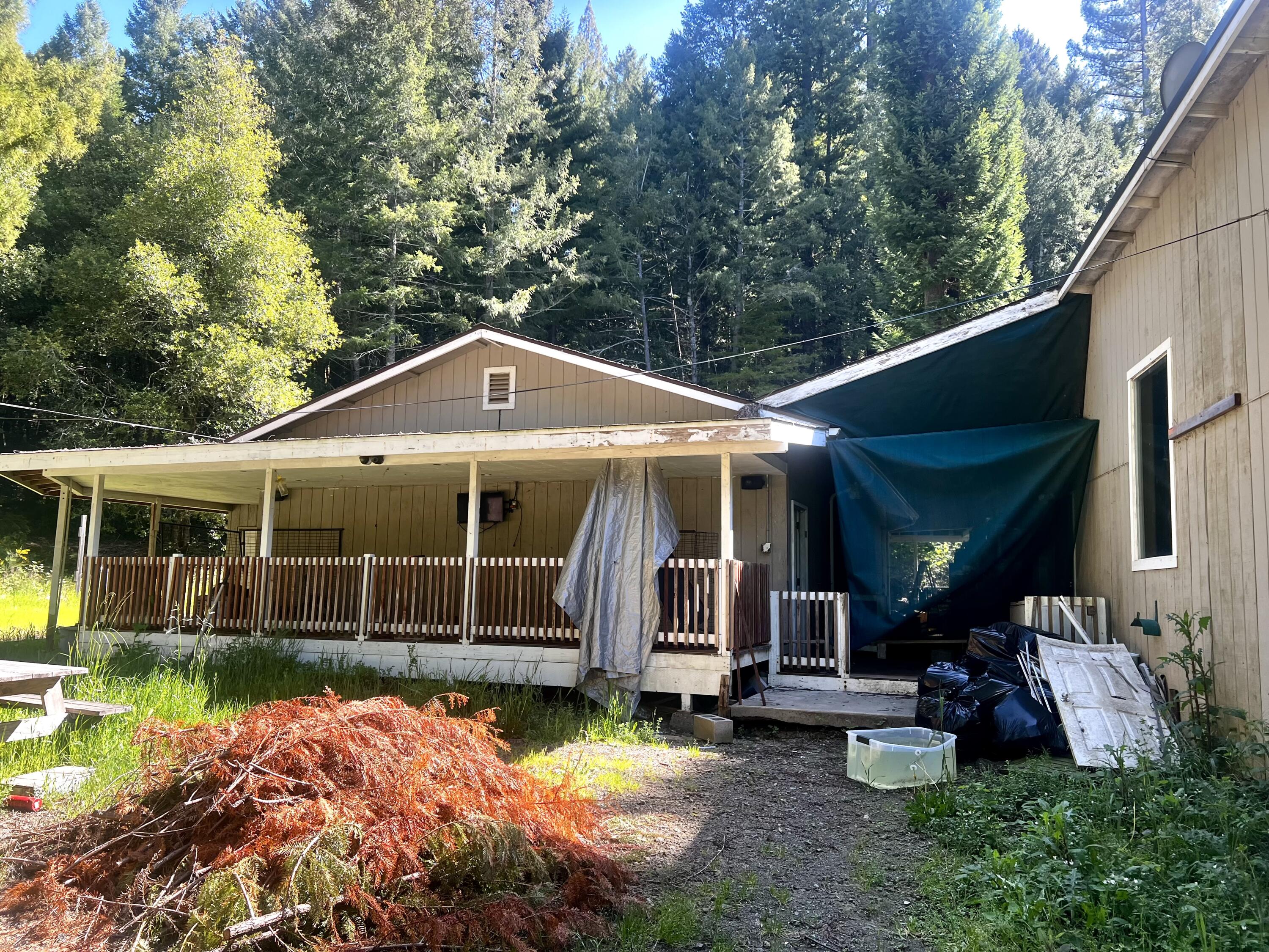16741 Briceland Road Whitethorn, CA 95589 - Photo 2 of 10 Shop behind house