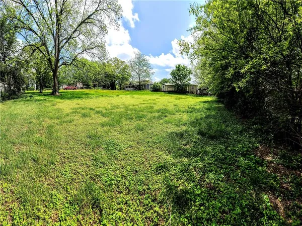 a view of a park with large trees