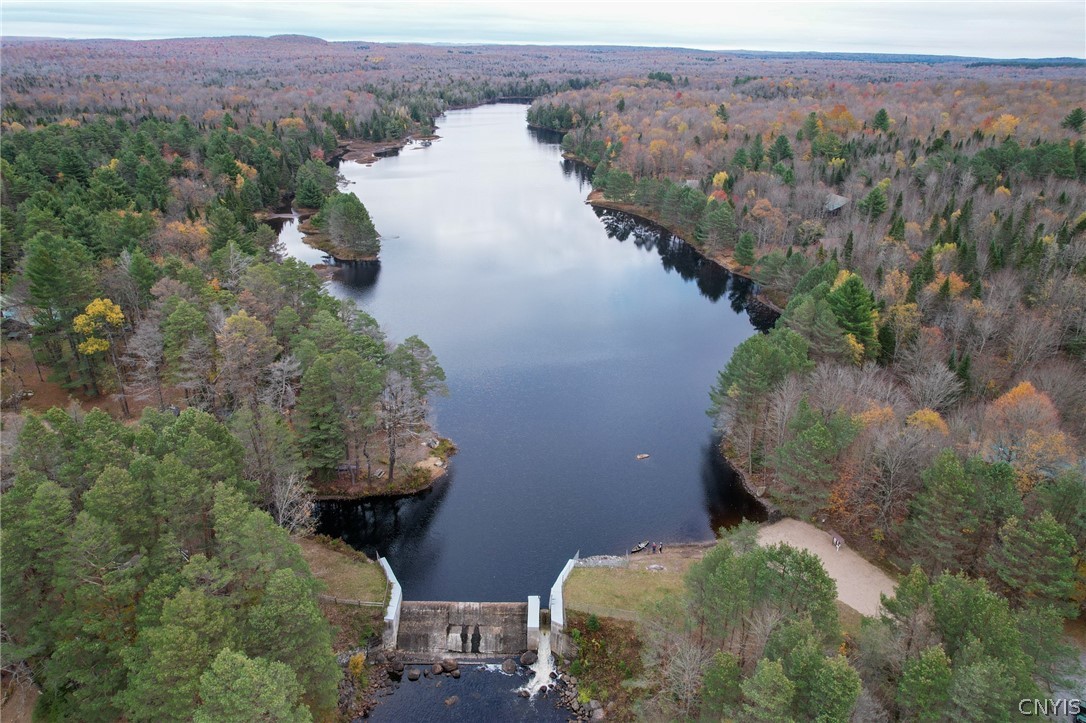 Lot # Meekerville Road Forestport, NY 13338 - Photo 42 of 45
