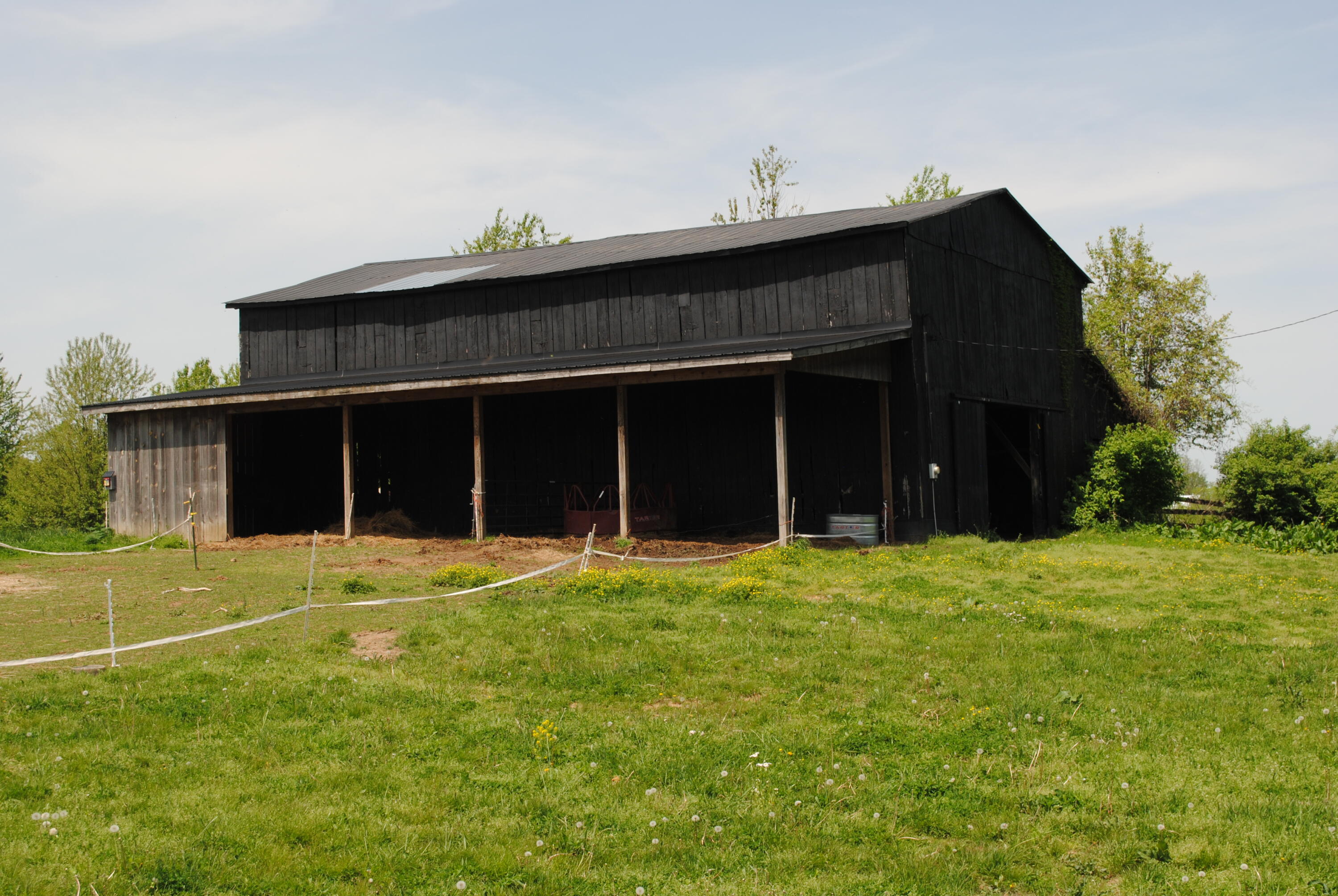 4750 Fords Mill Road Versailles, KY 40383 - Photo 4 of 24 DSC_0045