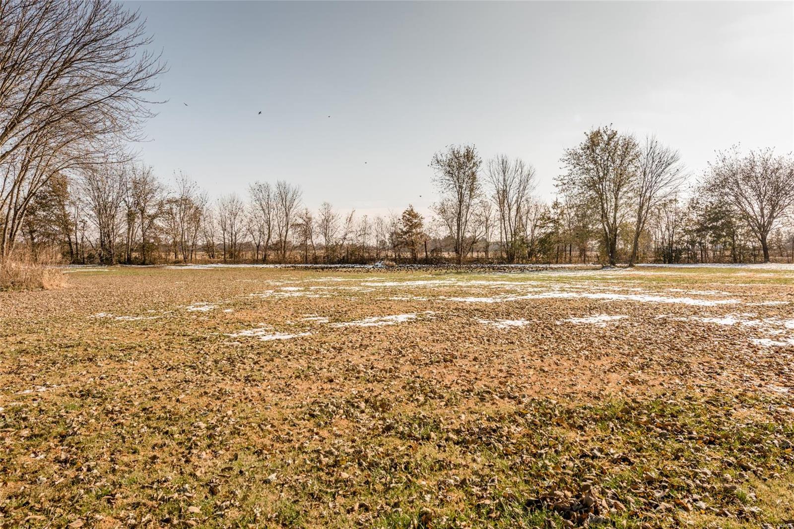 9689 Conrad Road Alhambra, IL 62001 - Photo 10 of 58