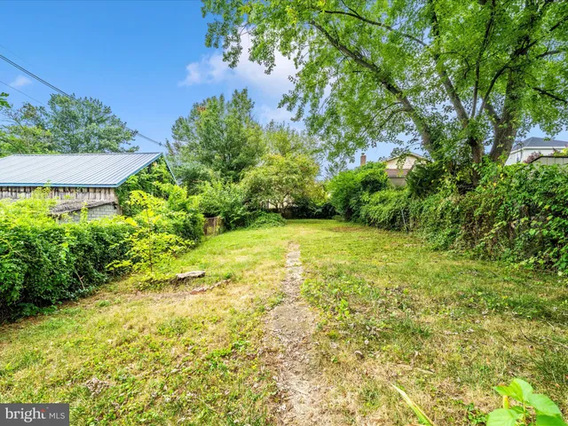 a house with a tree in front of it