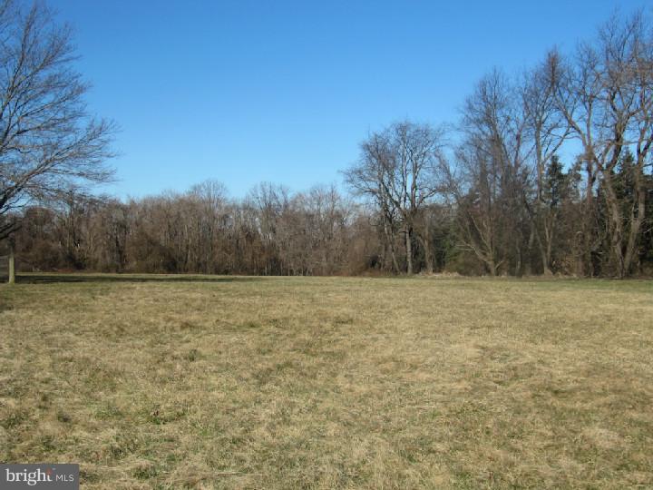 755 Mt Pleasant Road Pottstown, PA 19465 - Photo 11 of 13 Back Yard