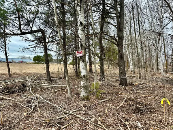 $21,950 | Tbd Southeast Tbd Se 11th Street, Menahga, MN 56464