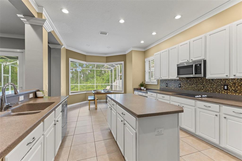 11621 Renaissance View Court Tampa, FL 33626 - Photo 10 of 32