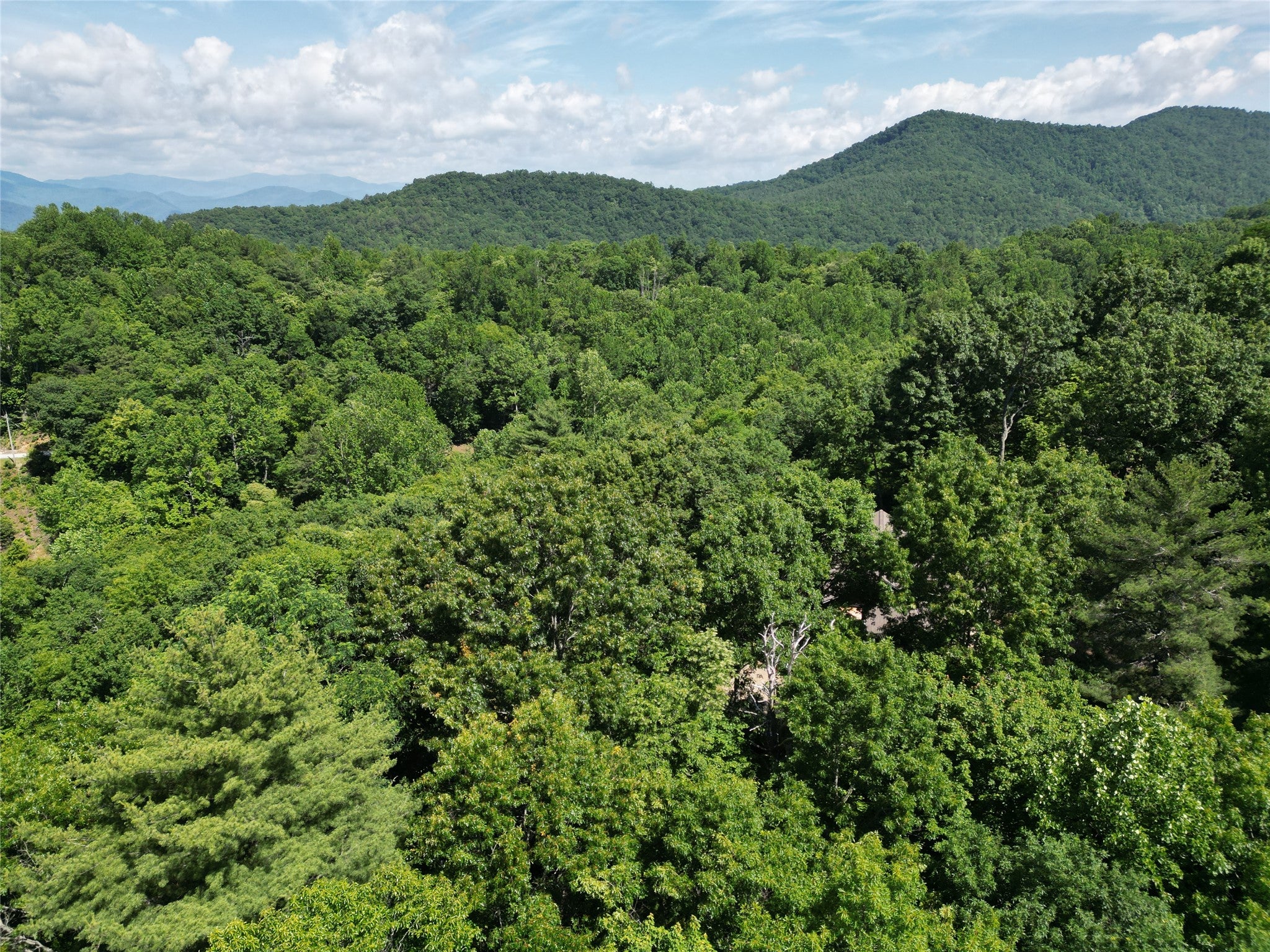0 Old Bear Ridge Road Scaly Mountain, NC 28775 - Photo 5 of 7 Gallery Image 5