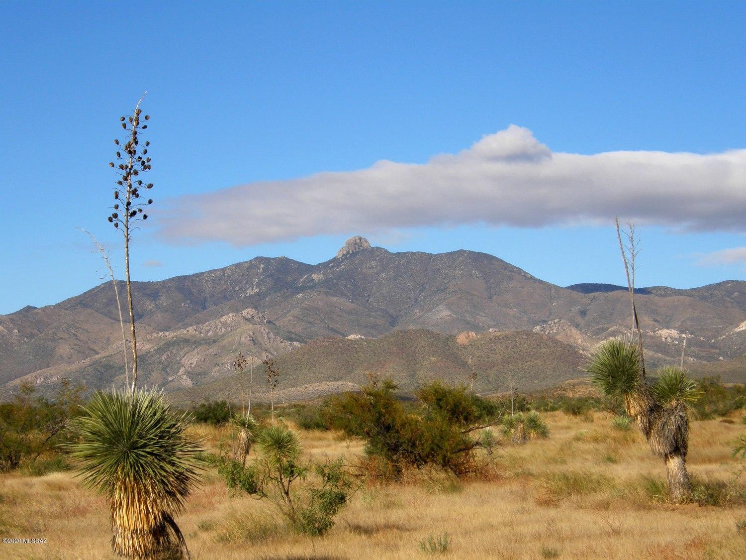 Tbd South Covered Wagon Road, Unit 71 Willcox, AZ 85643 - Photo 7 of 12