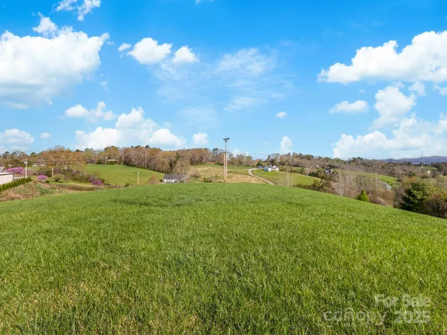 a view of a big yard with lots of green space