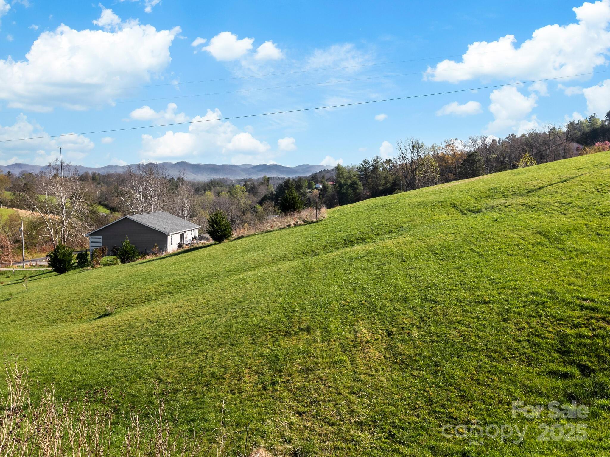 99999 Sprouse Town Road Weaverville, NC 28787 - Photo 11 of 20 a view of a big yard with potted plants and large tree