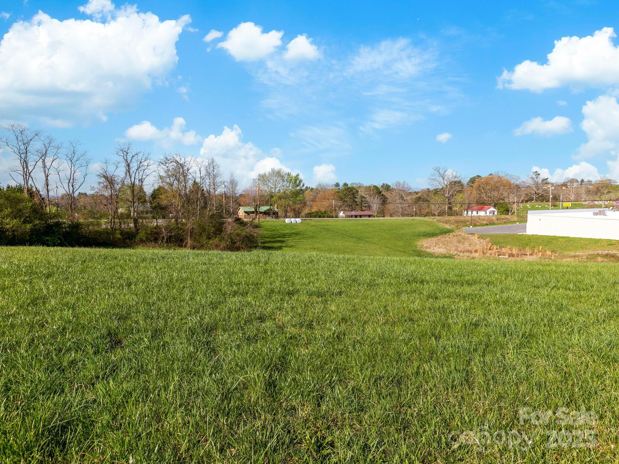 99999 Sprouse Town Road Weaverville, NC 28787 - Photo 17 of 20 a view of an outdoor and trees
