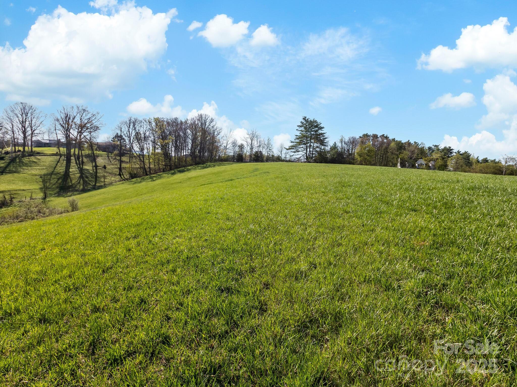 99999 Sprouse Town Road Weaverville, NC 28787 - Photo 18 of 20