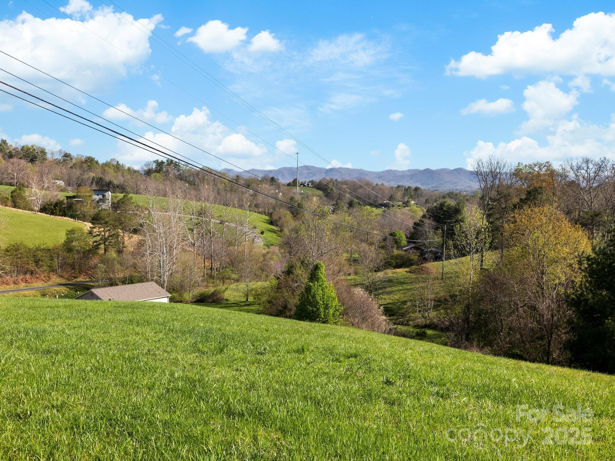 99999 Sprouse Town Road Weaverville, NC 28787 - Photo 20 of 20 a view of an outdoor space and a yard