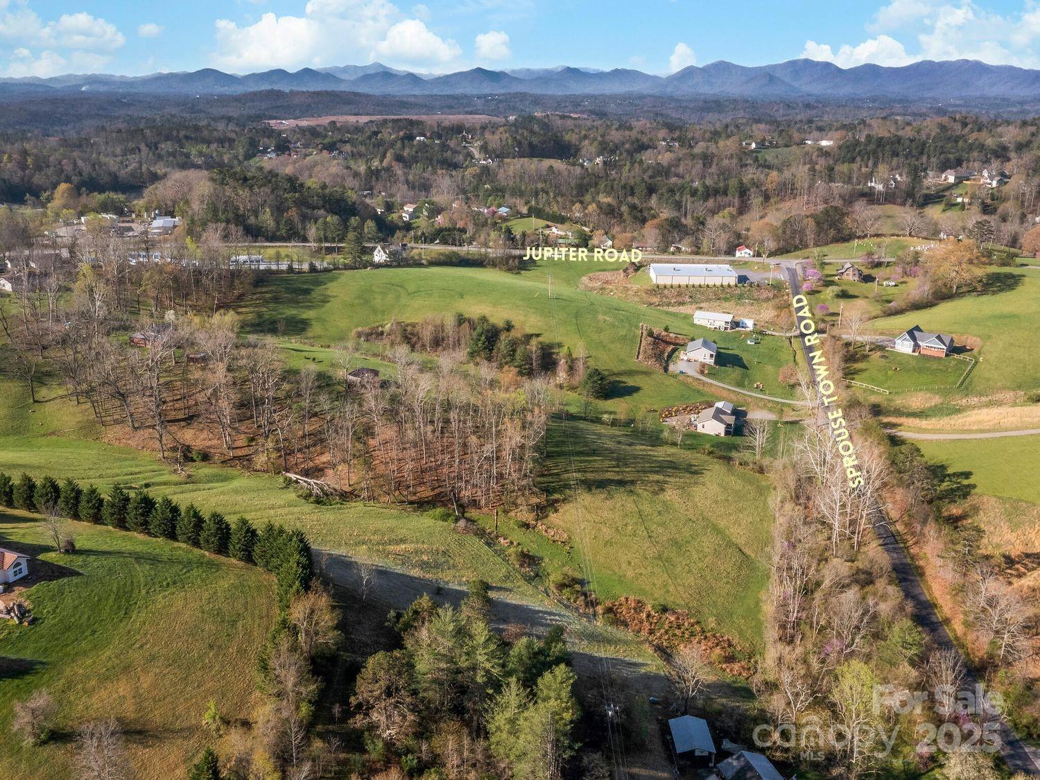99999 Sprouse Town Road Weaverville, NC 28787 - Photo 4 of 20 a view of lake with mountain