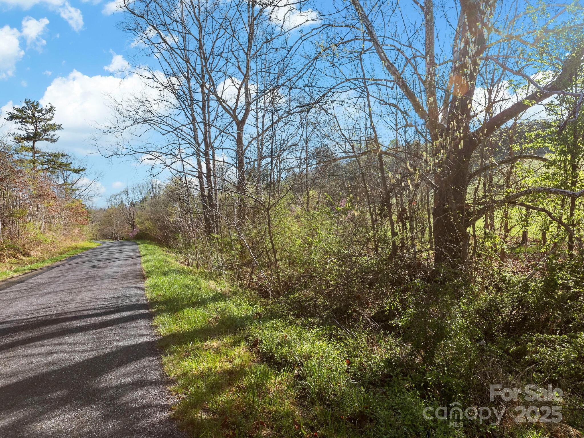 99999 Sprouse Town Road Weaverville, NC 28787 - Photo 5 of 20 a view of yard