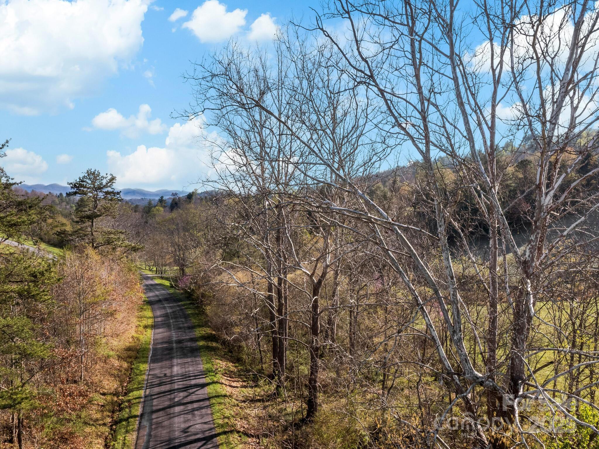 99999 Sprouse Town Road Weaverville, NC 28787 - Photo 6 of 20 a view of outdoor space