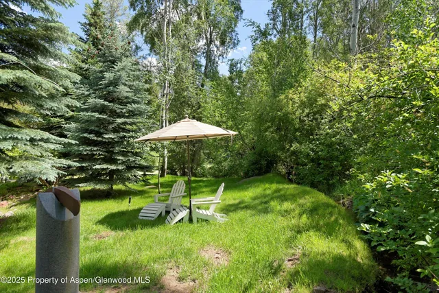 a view of a garden with a bench and plants