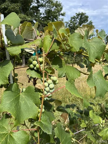 $359,900 | 2419 County Road 3180, Salem, MO 65560