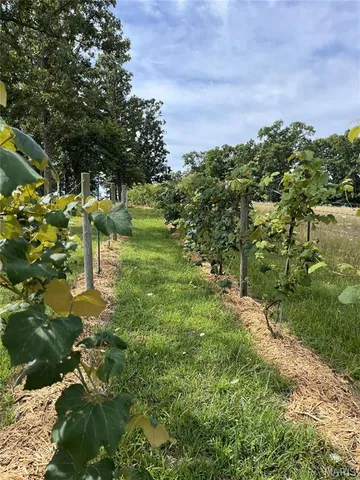 $359,900 | 2419 County Road 3180, Salem, MO 65560