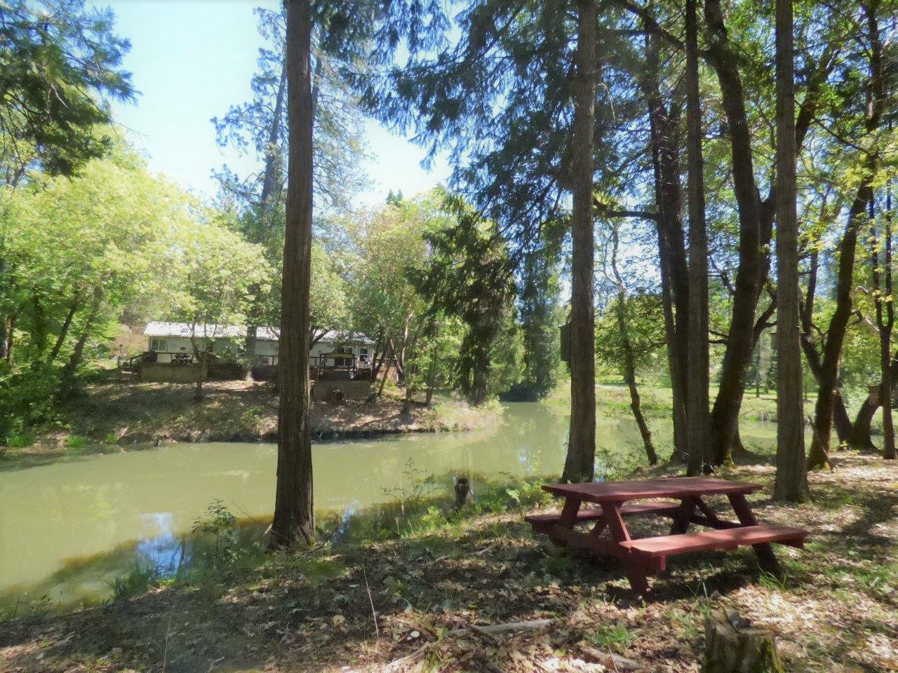 6520 Tunnel Loop Road Grants Pass, OR 97526 - Photo 5 of 69 a view of a lake with a tree