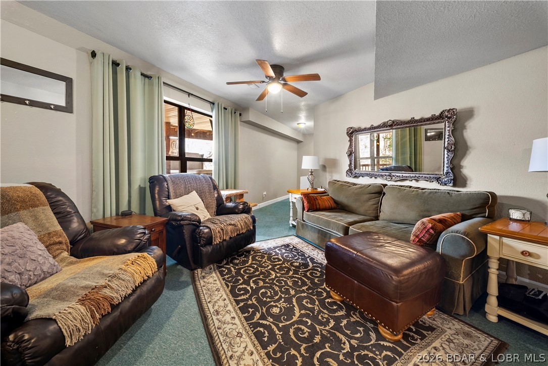 103 Three Rivers Road Camdenton, MO 65020 - Photo 29 of 62