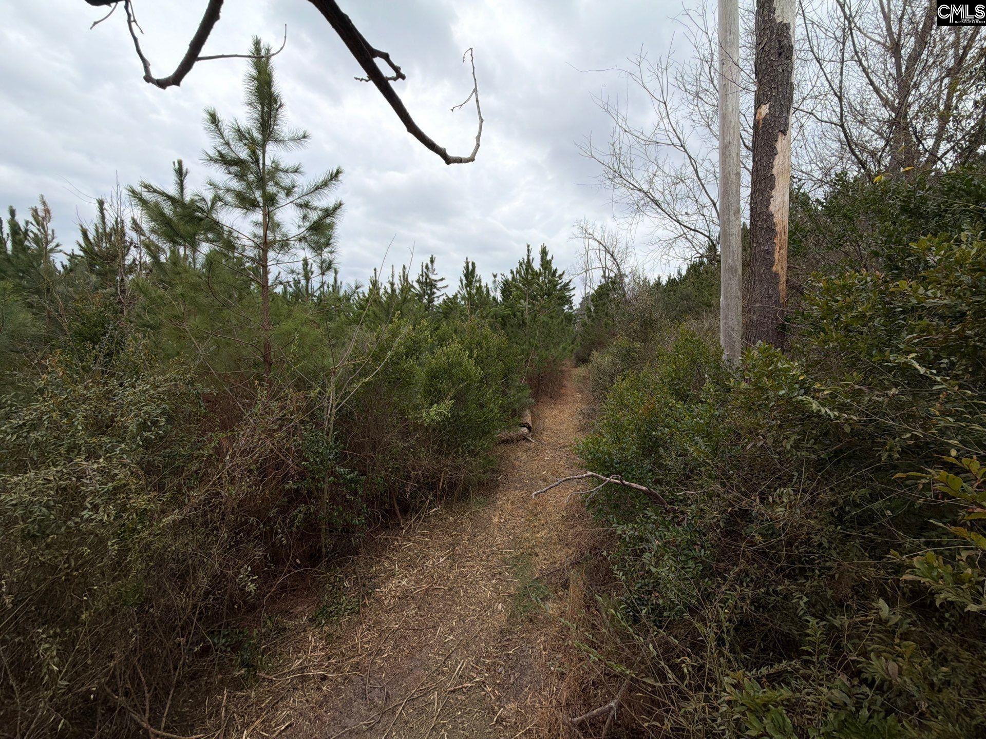 4 Jc Barefoot Road, Unit BFF II 4 Patrick, SC 29584 - Photo 2 of 32