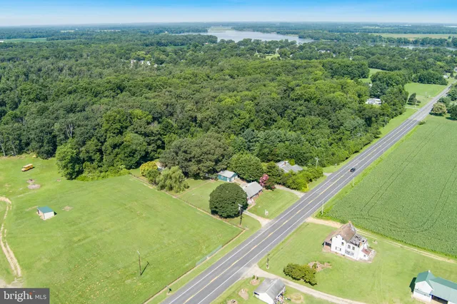 a view of a garden from a balcony