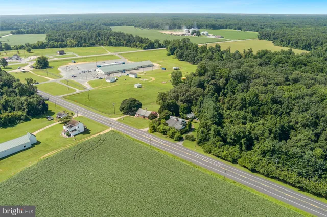 an aerial view of a residential houses with outdoor space and trees