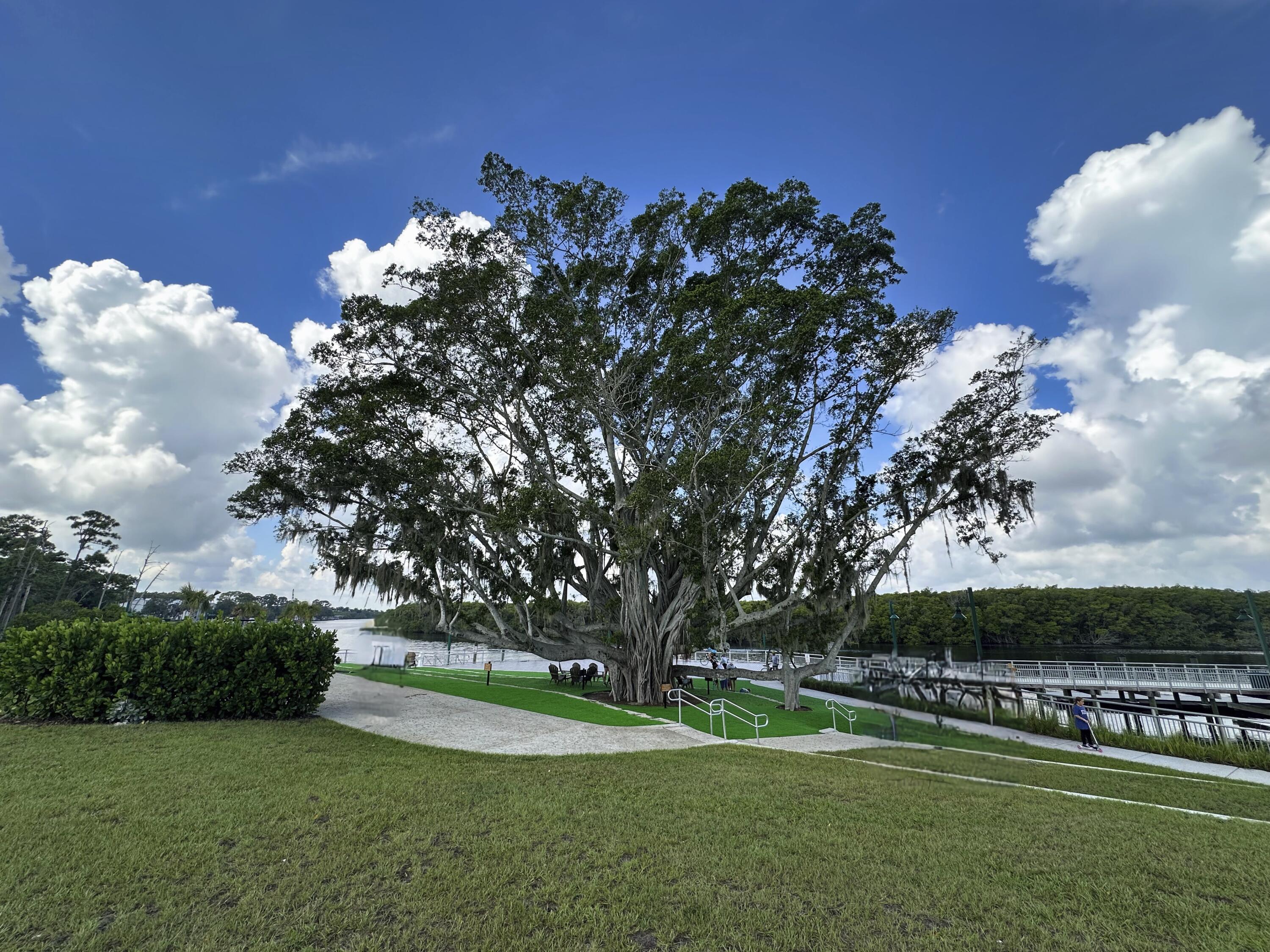 1814 Southeast Erwin Road Port St. Lucie, FL 34952 - Photo 38 of 38 IMG_8205_GEN