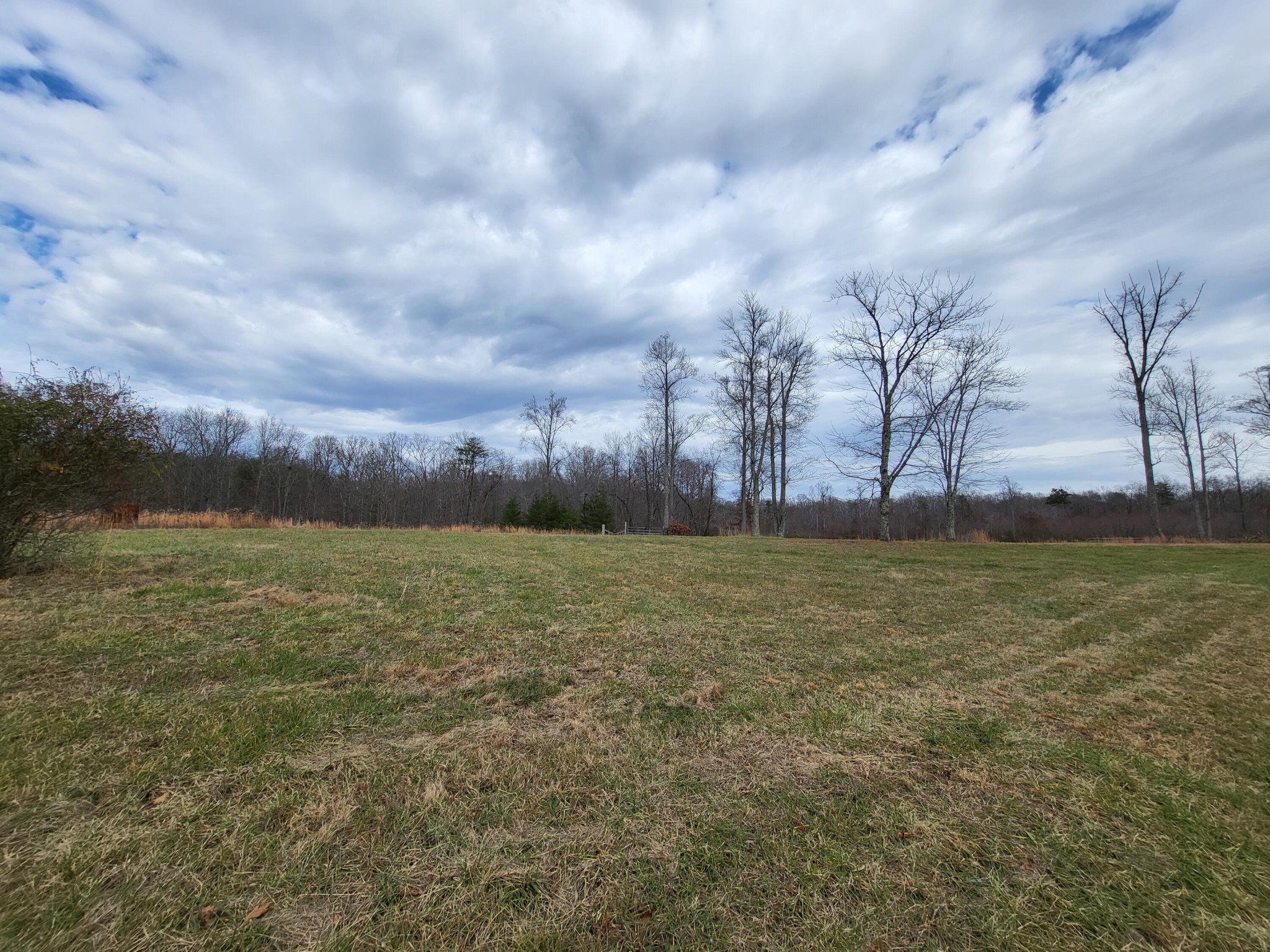 10089 Laurel Brk Road Dunlap, TN 37327 - Photo 11 of 12