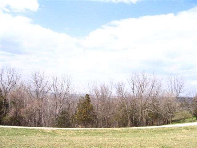 Lot 1 West Cemetery Road Galena, IL 61036 - Photo 1 of 8 Gallery Image 1