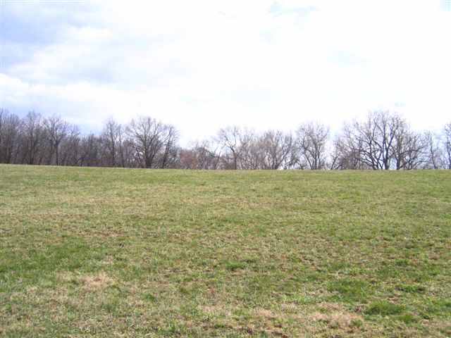 Lot 1 West Cemetery Road Galena, IL 61036 - Photo 2 of 8 Gallery Image 2