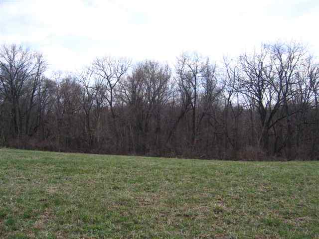 Lot 1 West Cemetery Road Galena, IL 61036 - Photo 3 of 8 Gallery Image 3