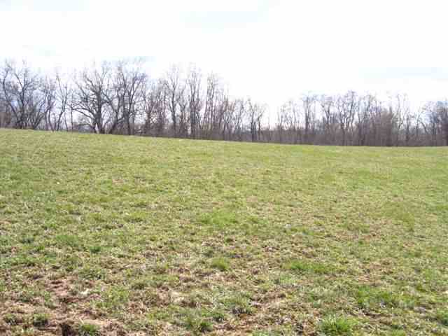 Lot 1 West Cemetery Road Galena, IL 61036 - Photo 4 of 8 Gallery Image 4