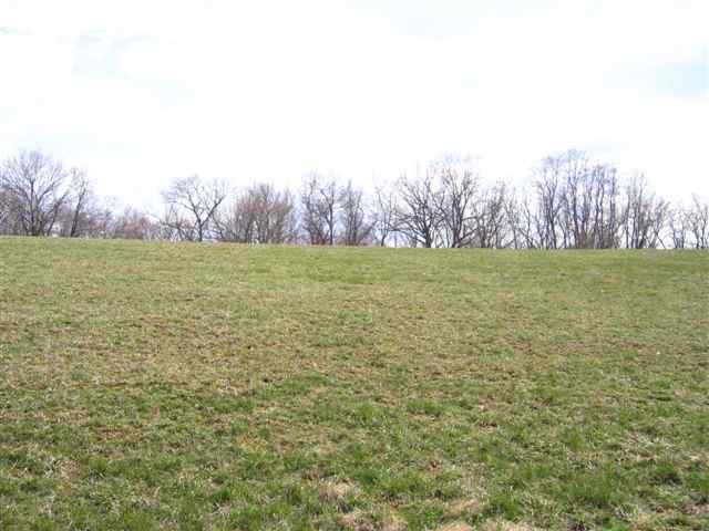 Lot 1 West Cemetery Road Galena, IL 61036 - Photo 5 of 8 Gallery Image 5