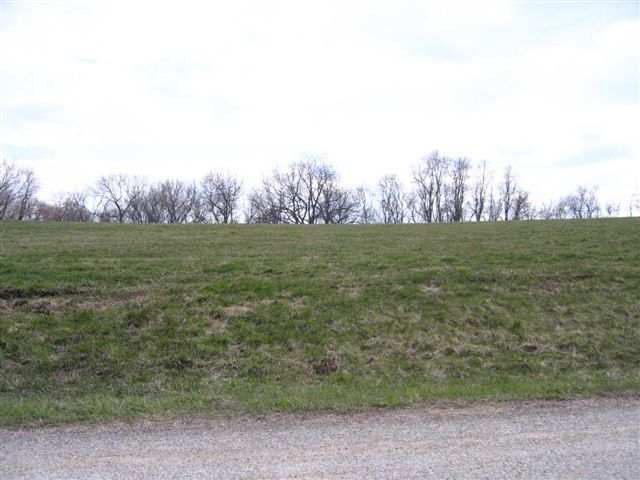 Lot 1 West Cemetery Road Galena, IL 61036 - Photo 6 of 8 Gallery Image 6