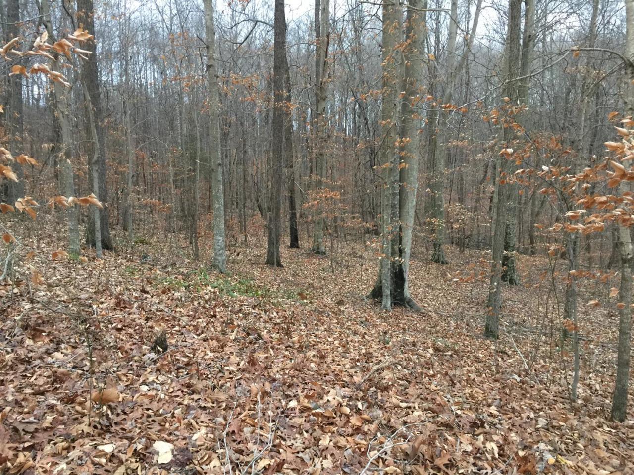 10 Mt Vernon Road Albany, KY 42602 - Photo 5 of 7 Additional Photo