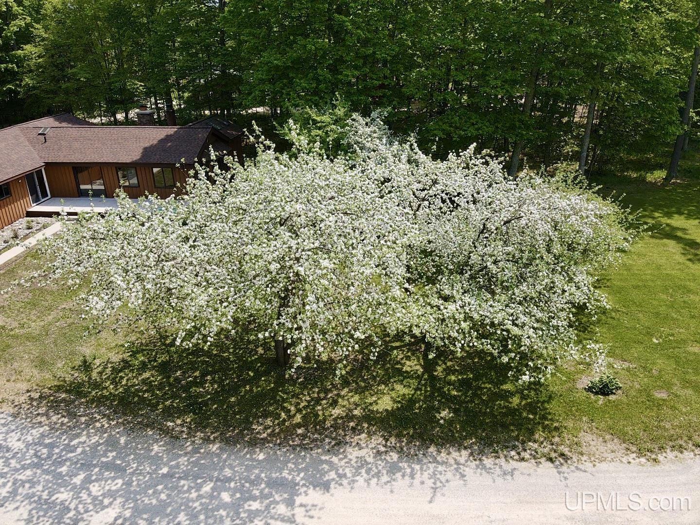13455 8th Road Garden, MI 49835 - Photo 89 of 89