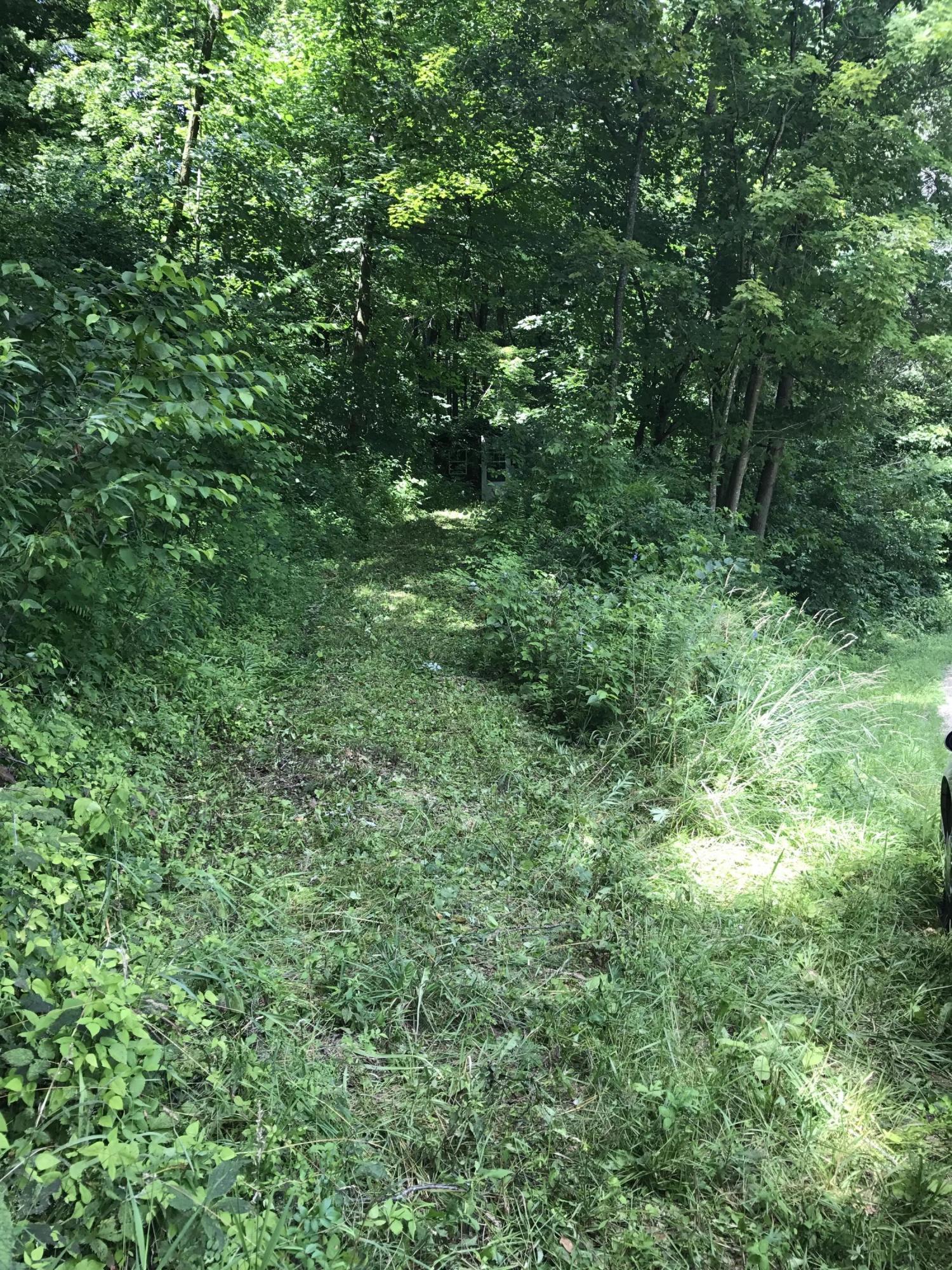 CabinApproach