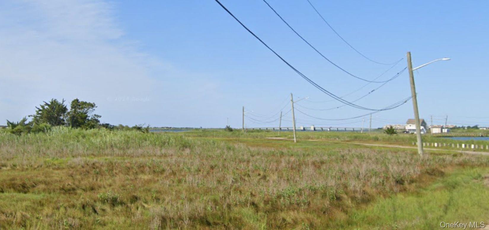 a view of a yard