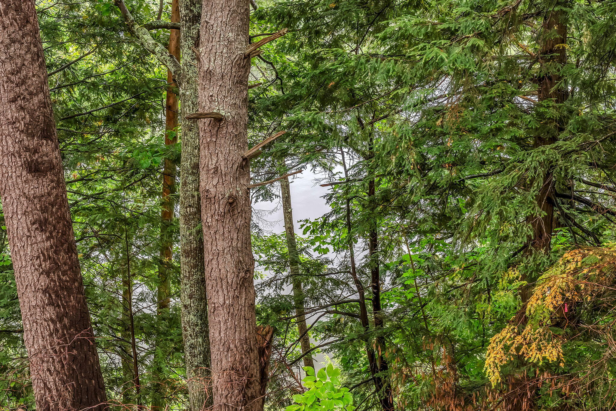 12 Rowell Road Hampden, ME 04444 - Photo 32 of 50 45-web-or-mls-12-rowell-rd