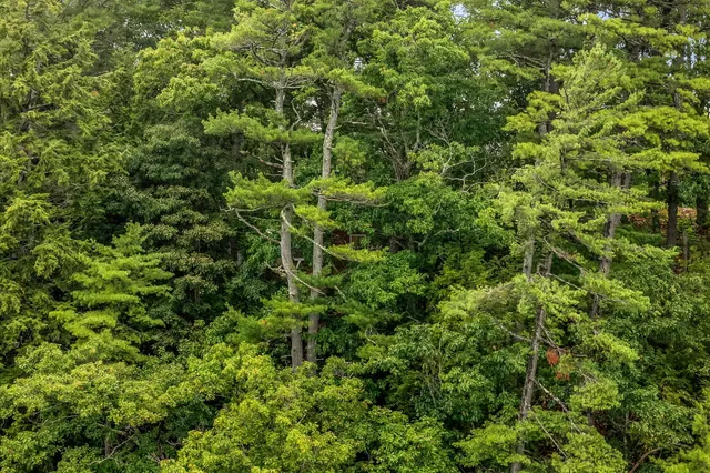 $385,500 | 12 Rowell Road, Hampden, ME 04444