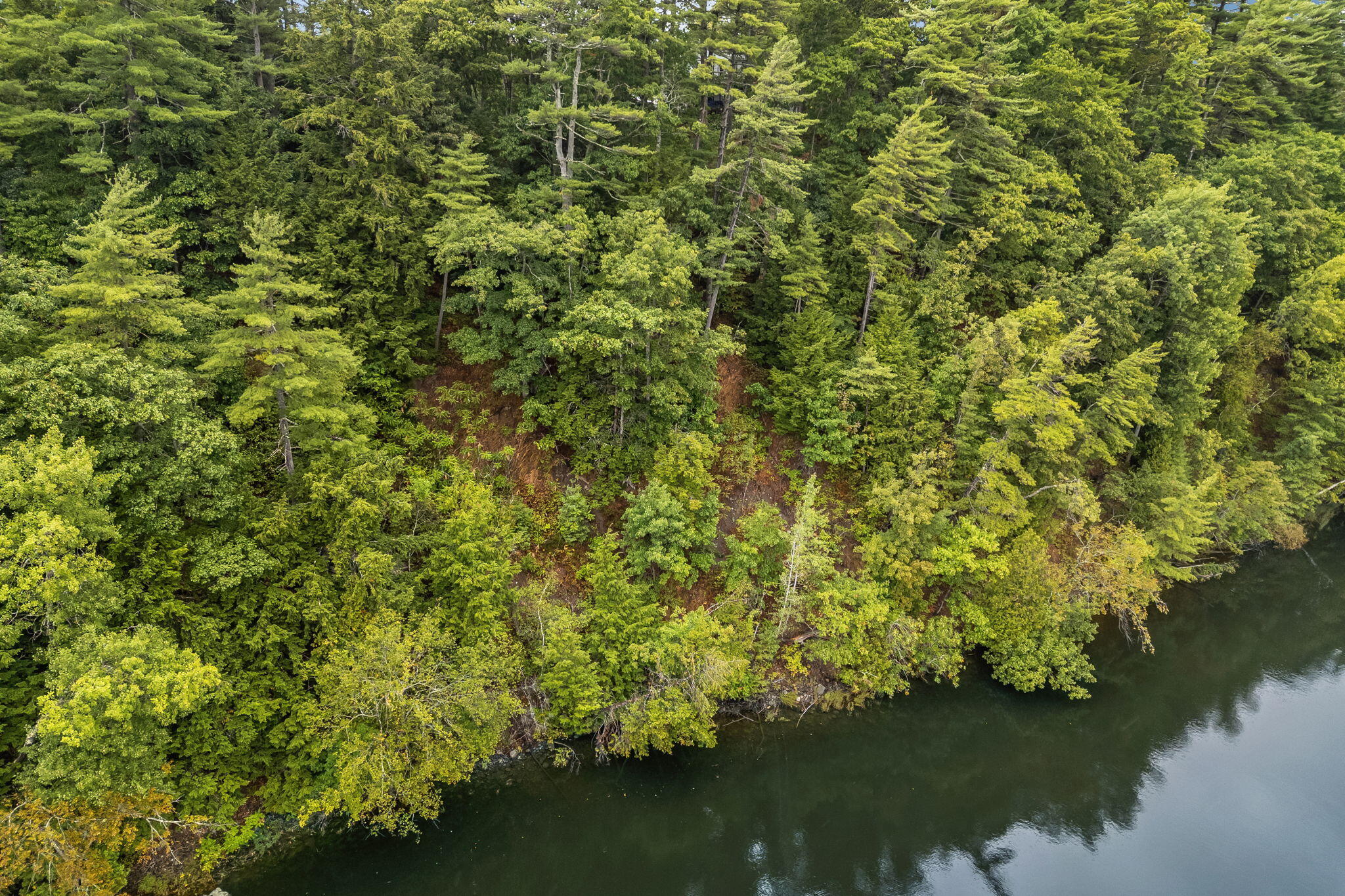 12 Rowell Road Hampden, ME 04444 - Photo 45 of 50 13-web-or-mls-12-rowell-rd