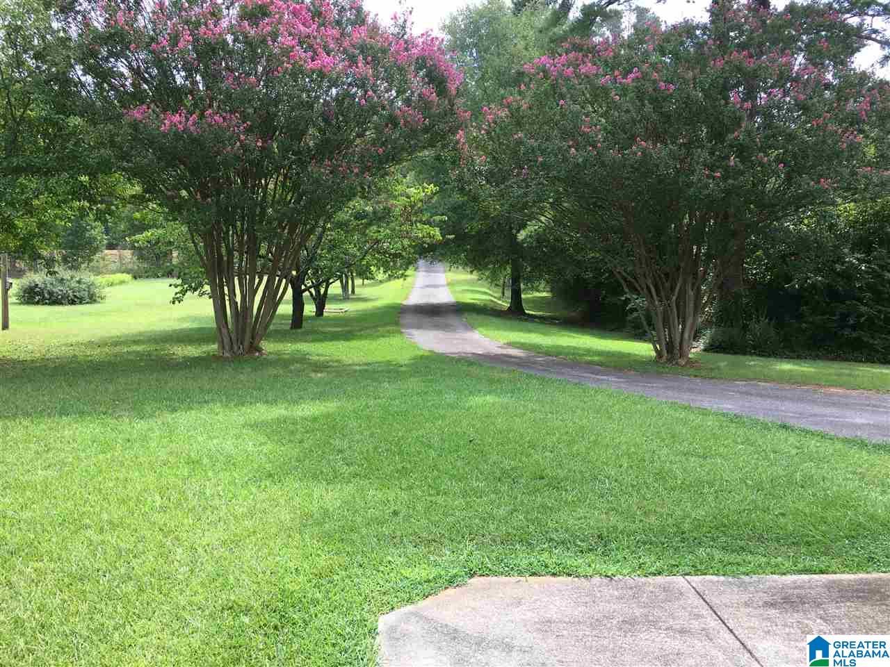 1835 Southeast White Gap Road Jacksonville, AL 36265 - Photo 8 of 20