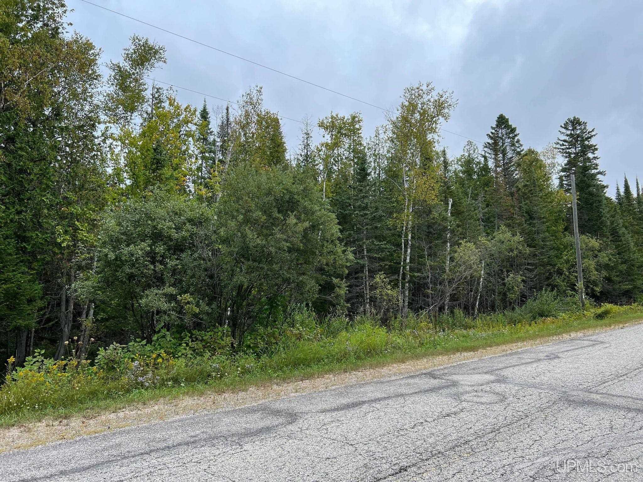 Tbd Quarry Road Gulliver, MI 49840 - Photo 4 of 16 Gallery Image 4