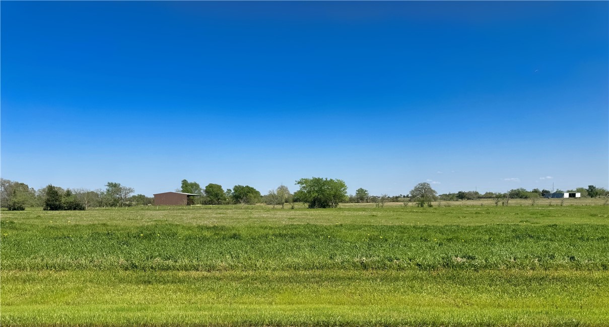 a view of a grassy field with trees
