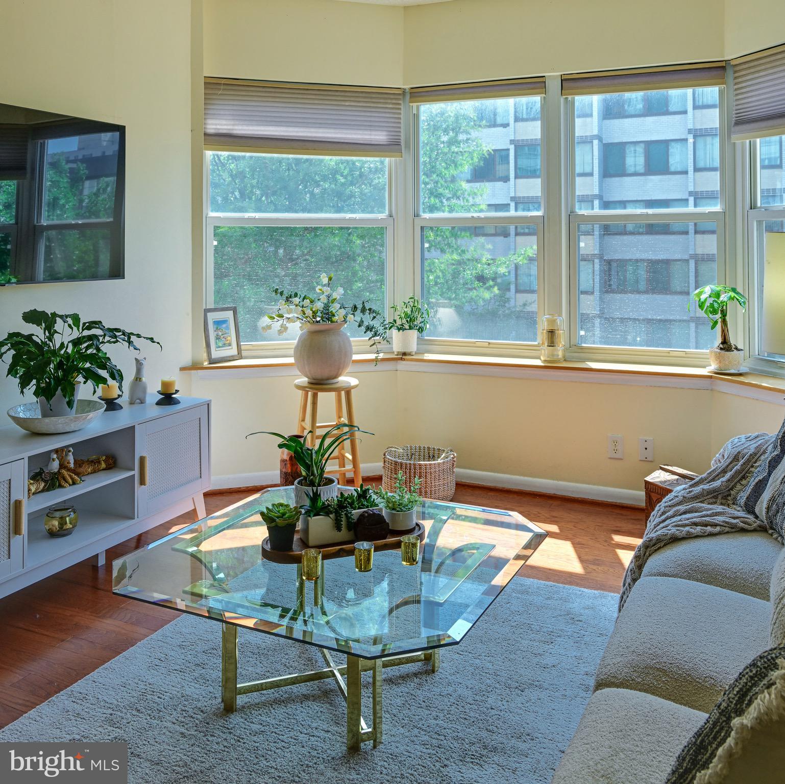 1111 11th Street Northwest, Unit 304 Washington, DC 20001 - Photo 5 of 27 a living room with furniture and a potted plant