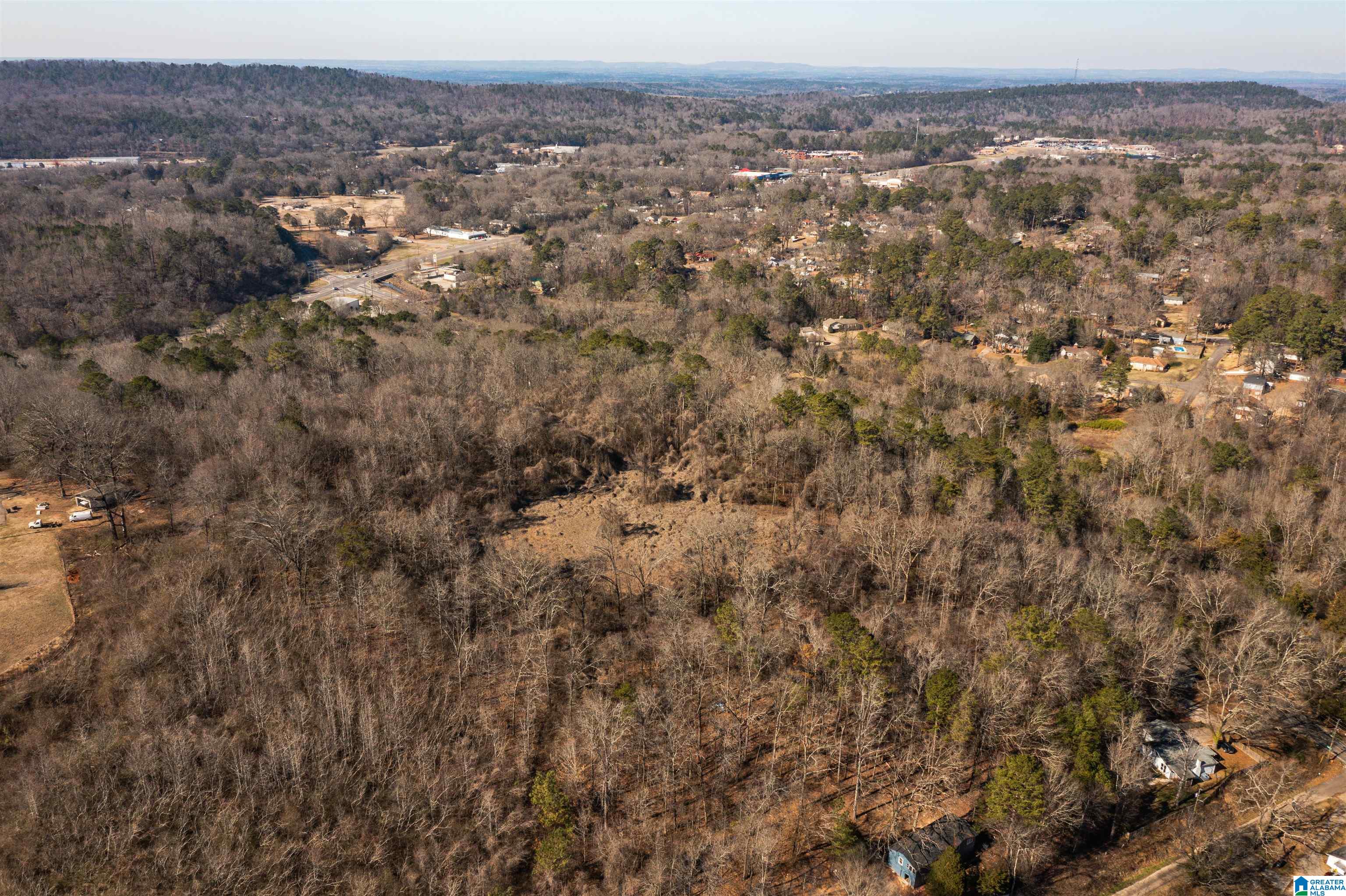 4392 Buzbee Road, Unit 1 Pinson, AL 35126 - Photo 15 of 27