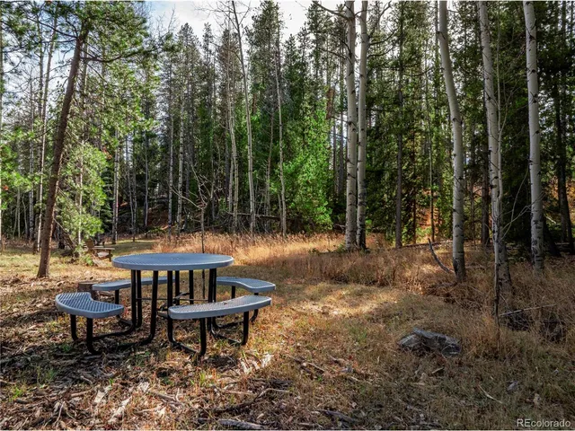 a view of outdoor space and trees