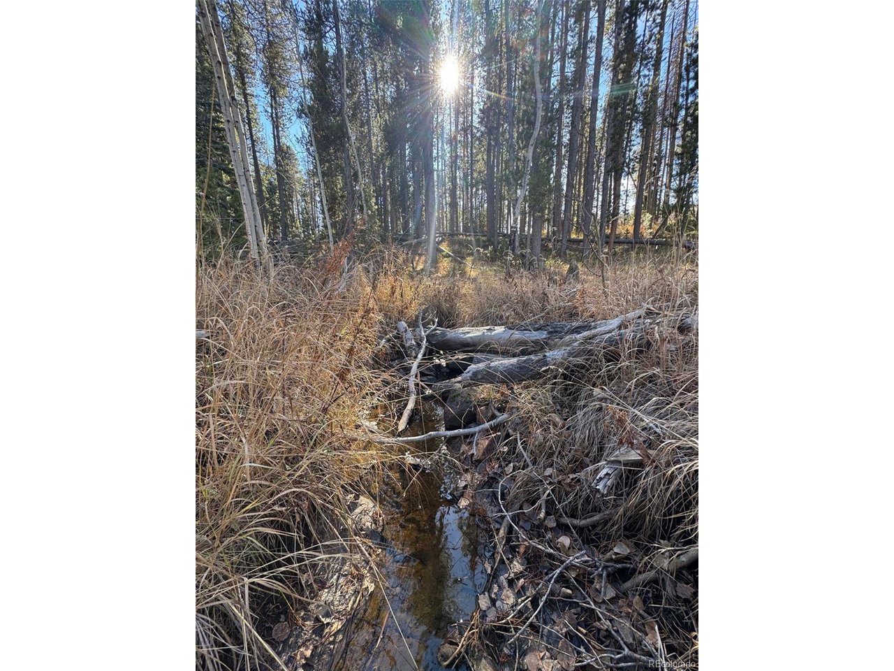 216620 Indian Springs Road Conifer, CO 80433 - Photo 14 of 43 Year Round Stream